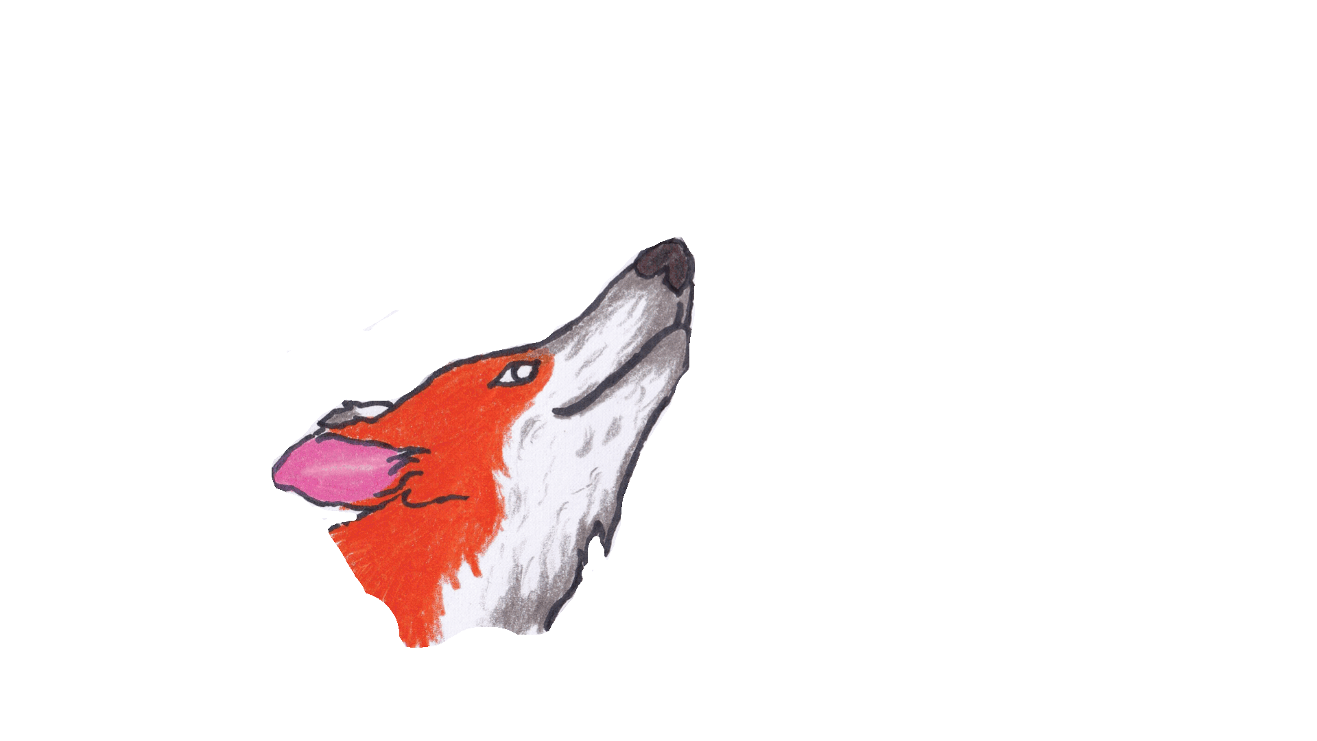 Copy of SHORT OBB (1920 x 1080 px)